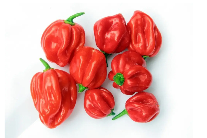 scotch-bonnet